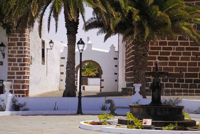 Built structure and palm trees by wall