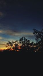 Silhouette trees against sky during sunset