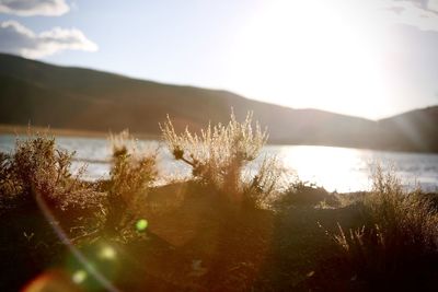 Scenic view of lake against sky on sunny day
