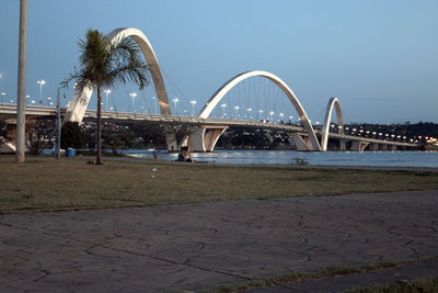 Palm trees and bridge against sky in city