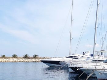 Sailboats moored at harbor against sky