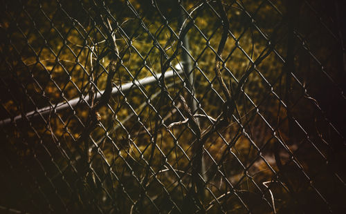 Full frame shot of chainlink fence