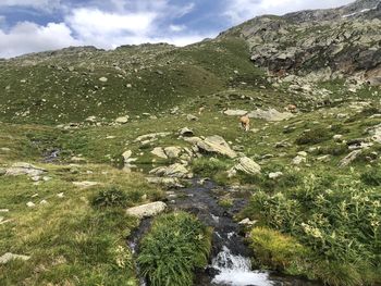 Scenic view of waterfall against sky