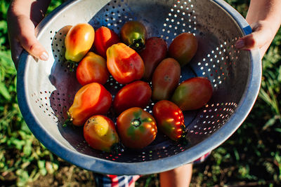 High angle view of a person holding  an antique metal  colander with roma tomatoes in it