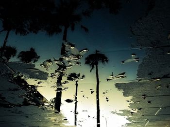 Low angle view of trees against sky