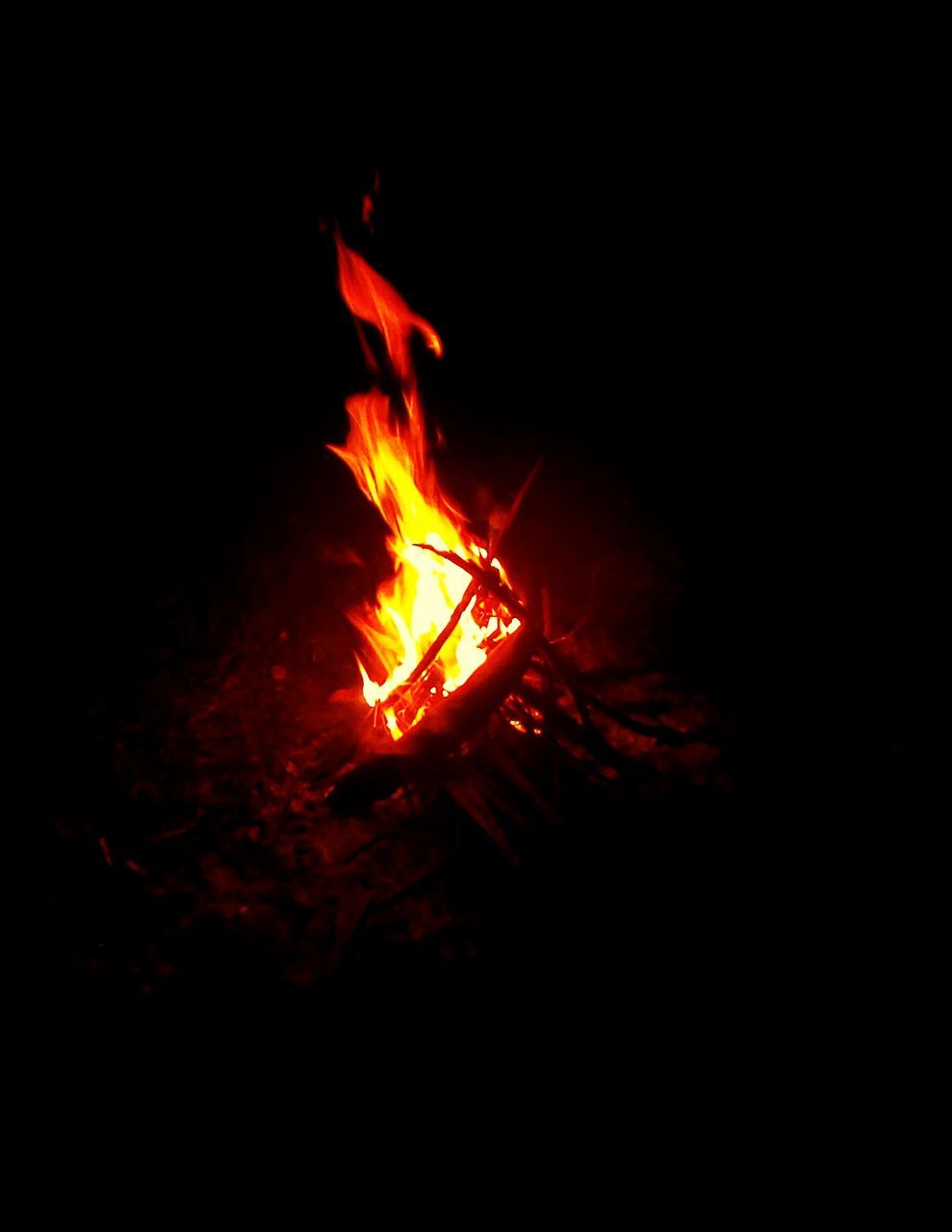 CLOSE-UP VIEW OF BONFIRE