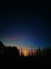 Silhouette trees on landscape against sky at sunset