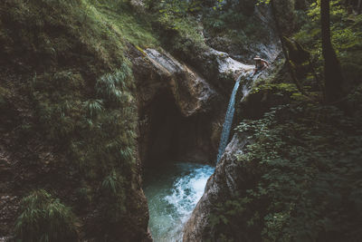 Scenic view of waterfall in forest