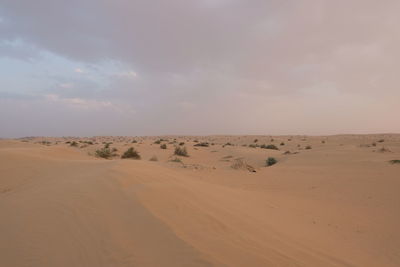 Scenic view of desert against sky