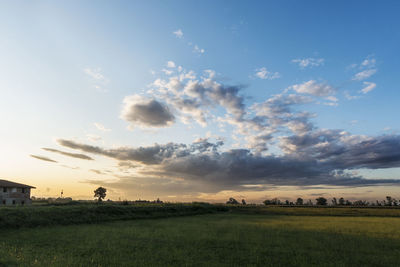 Scenic view of field against sky during sunset