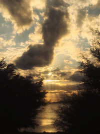 Silhouette trees against sky during sunset