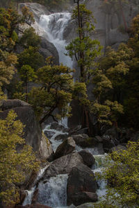 Stream flowing through rocks in forest