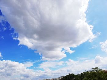 Low angle view of trees against blue sky