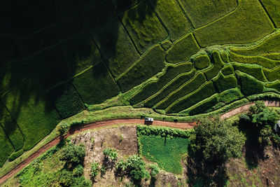 High angle view of green landscape