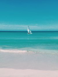 Sailboat sailing on sea against clear blue sky