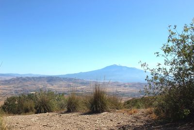 Scenic view of landscape against clear blue sky