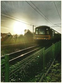 Railroad tracks at sunset