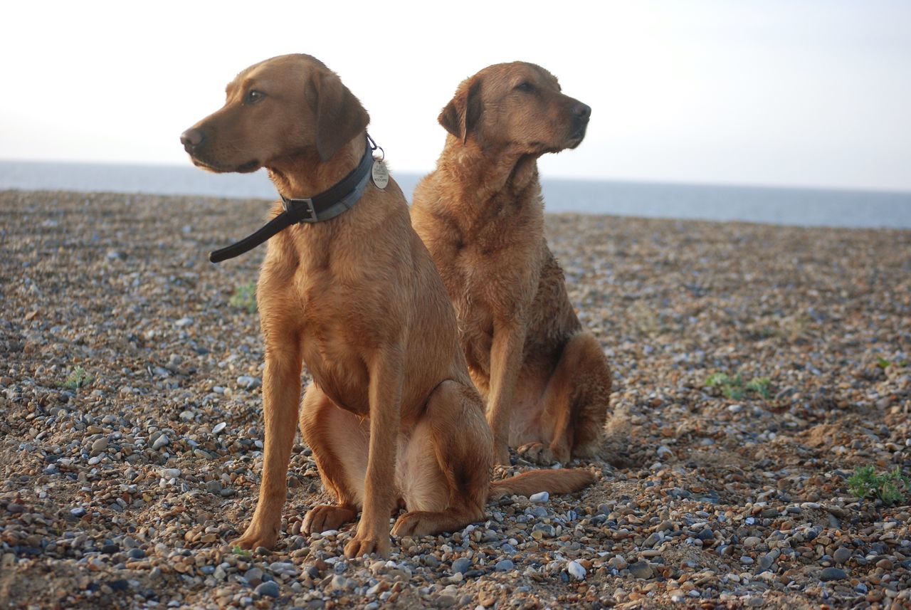 Cley Beach