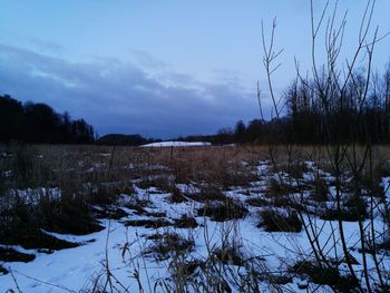 Scenic view of landscape against sky during winter