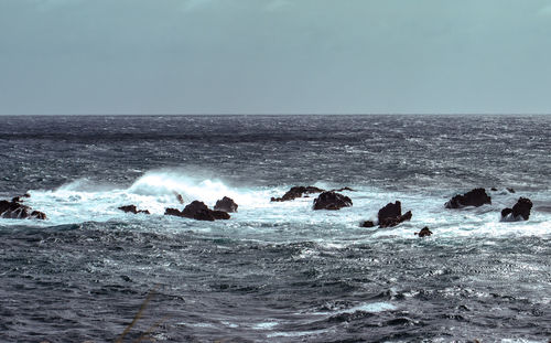 Birds swimming in sea against clear sky