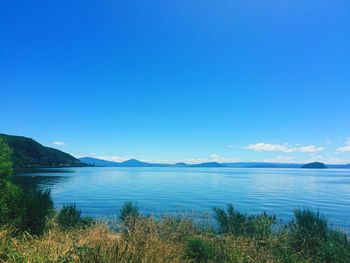 Scenic view of sea against clear blue sky