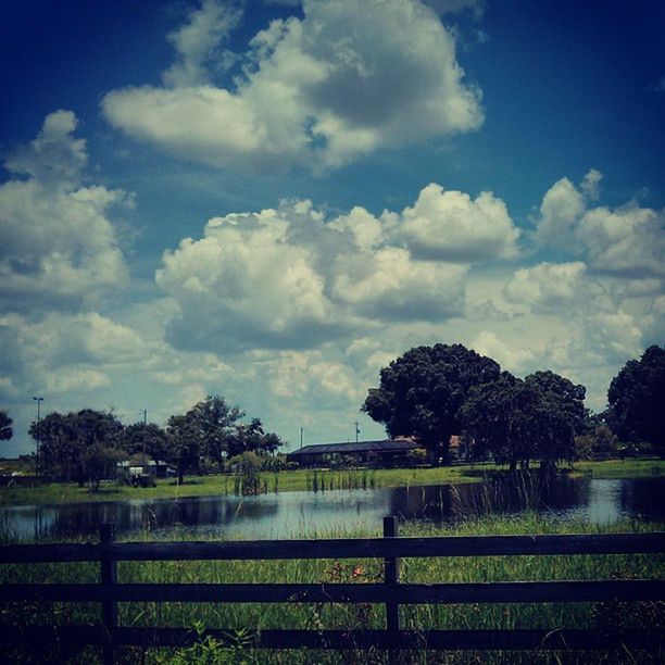 sky, tree, railing, tranquil scene, water, tranquility, fence, scenics, nature, beauty in nature, cloud - sky, lake, field, landscape, grass, blue, cloud, silhouette, growth, outdoors