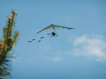 Low angle view of airplane flying in sky