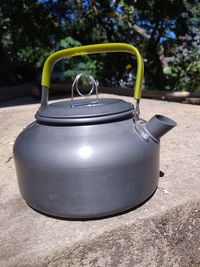 Close-up of green plant on field