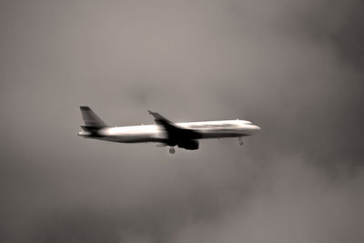 Low angle view of birds flying in sky