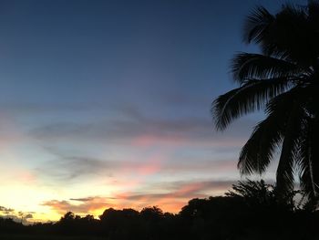 Low angle view of silhouette trees against sky at sunset