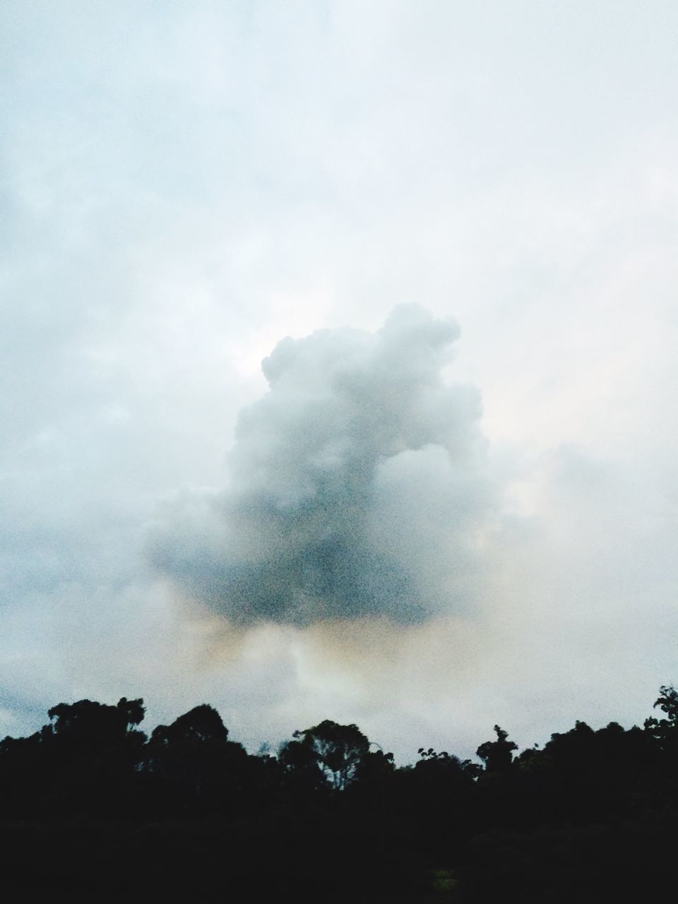 silhouette, sky, low angle view, tree, cloud - sky, beauty in nature, tranquility, nature, scenics, tranquil scene, cloudy, dusk, weather, cloud, overcast, outdoors, copy space, no people, outline, high section