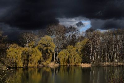 Scenic view of trees by lake against sky