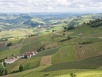 Landscape of langhe and its vineyards