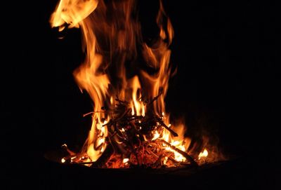 Close-up of bonfire at night