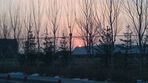 Snow covered landscape