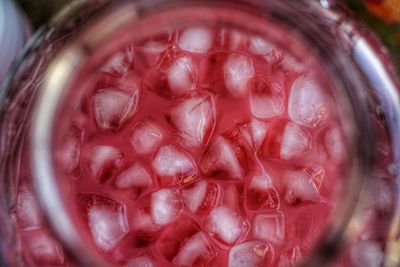 Close up of red leaf