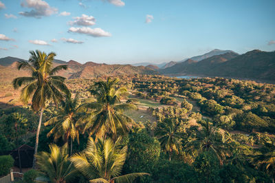 High angle view of trees and mountains against sky