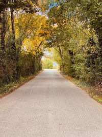 Road amidst trees during autumn