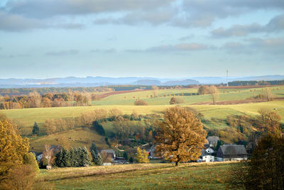 Scenic view of field against sky