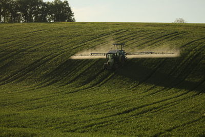 Scenic view of agricultural field