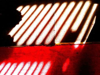 Close-up of shadow on red leaf