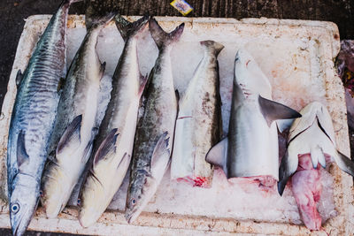 Fish for sale at market stall