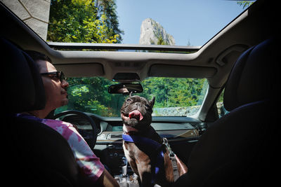 People and french bulldog sitting in car