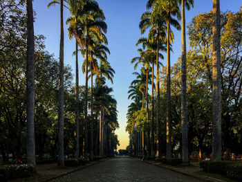 Road amidst trees against sky