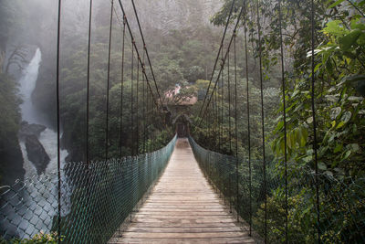 Footbridge amidst trees in forest