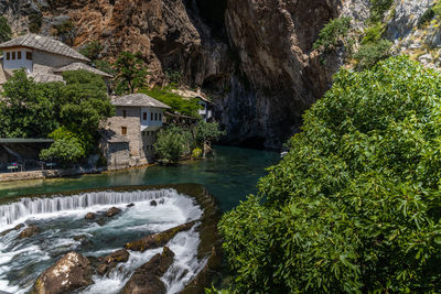 Scenic view of river amidst trees