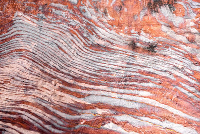 Natural geological sandstone pattern and stripped texture. petra, jordan