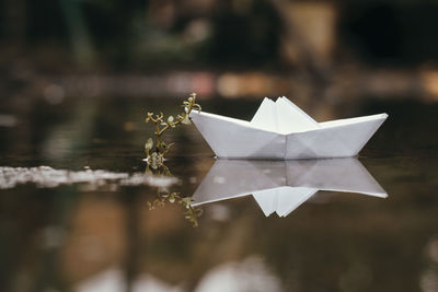 Close-up of paper boat floating on water