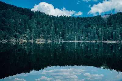 Scenic view of lake by trees against sky