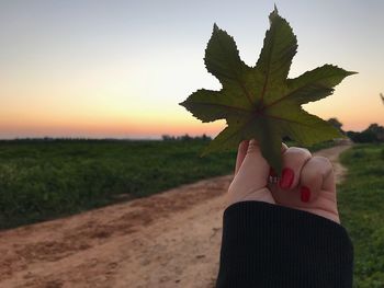 Close-up of woman hand holding leaf on field against sky during sunset